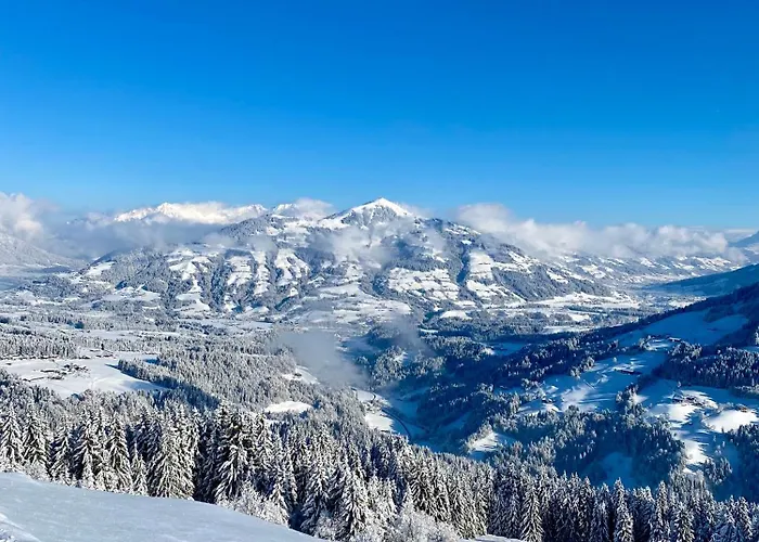 شقة S'poelven Nest باد هارينغ